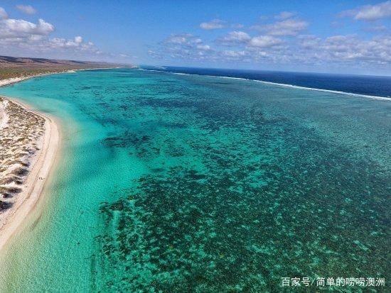 天然“解毒王”被发现了,每天常吃两口,肝病、肝硬化不攻自破